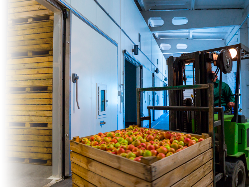 Aplicación de ceras protectoras en frutas y verduras
