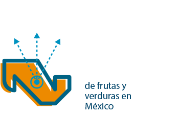 Más de 450 exportadores de frutas y verduras asistidos en México
