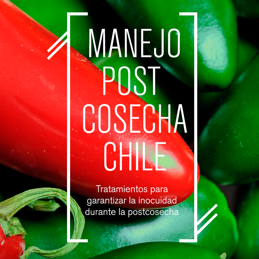 Manejo postcosecha de chile