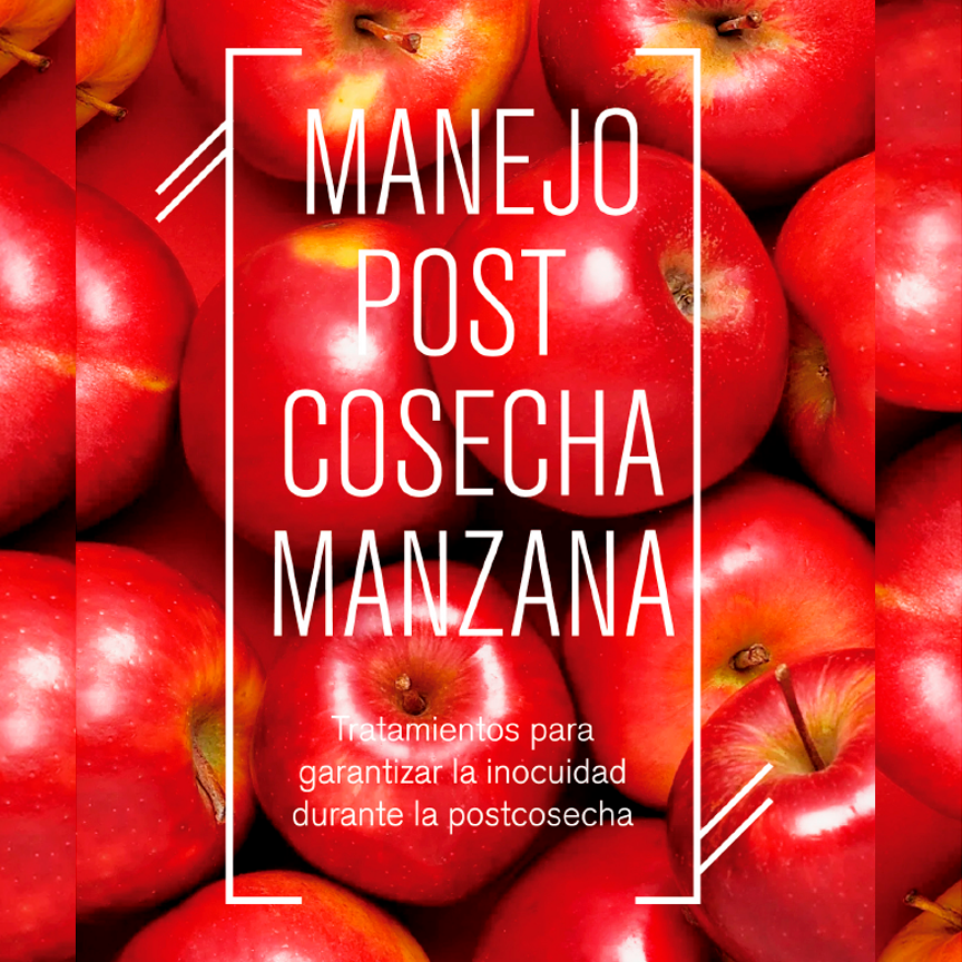 Manejo postcosecha de manzana