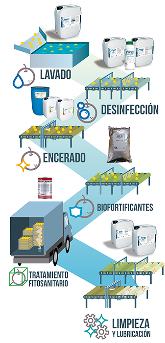 Servicios especializados postcosecha PHS