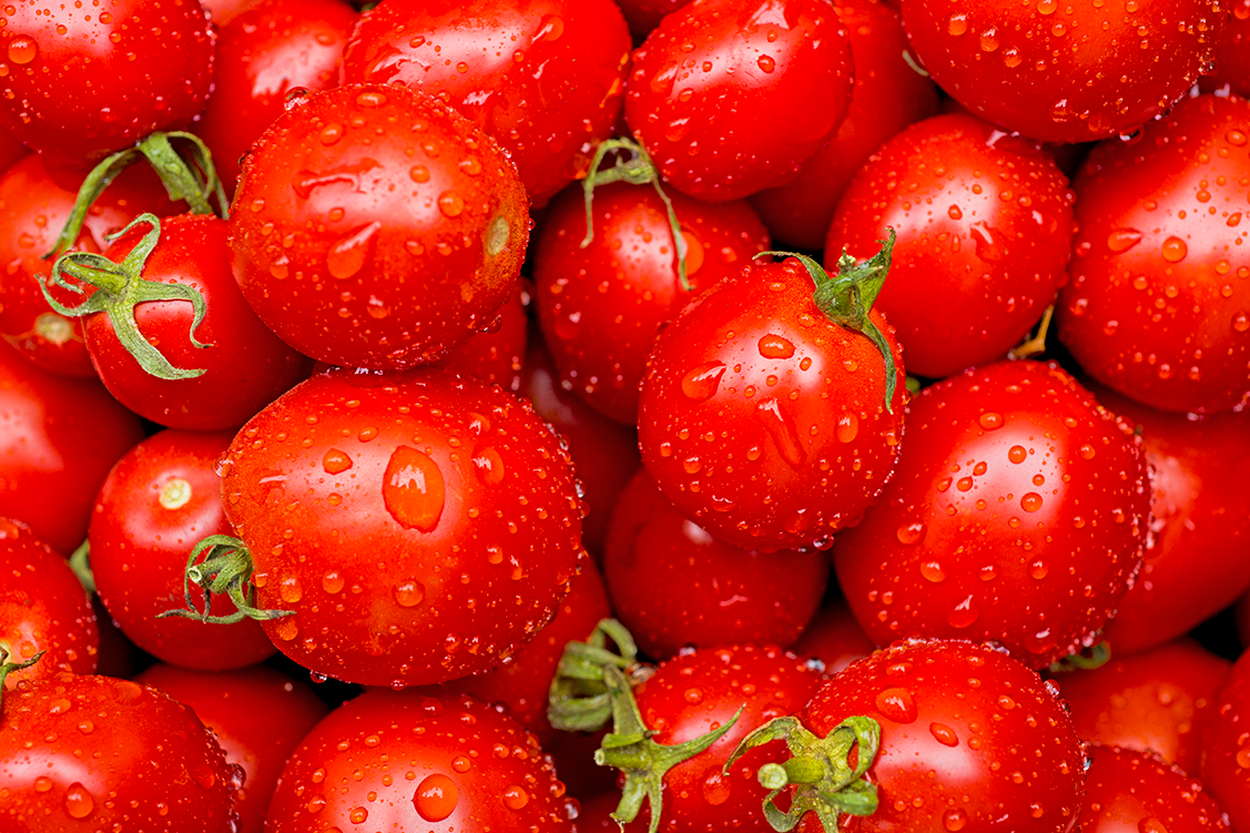 Líneas Clarity y Purex - Productos especializados para postcosecha